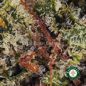 Buy Nirvana AAA wc cannabis weed dispensary & online pot shop