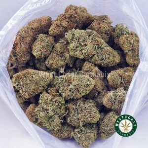Buy Nirvana AAA wc cannabis weed dispensary & online pot shop Buy Nirvana AAA wc cannabis weed dispensary & online pot shop