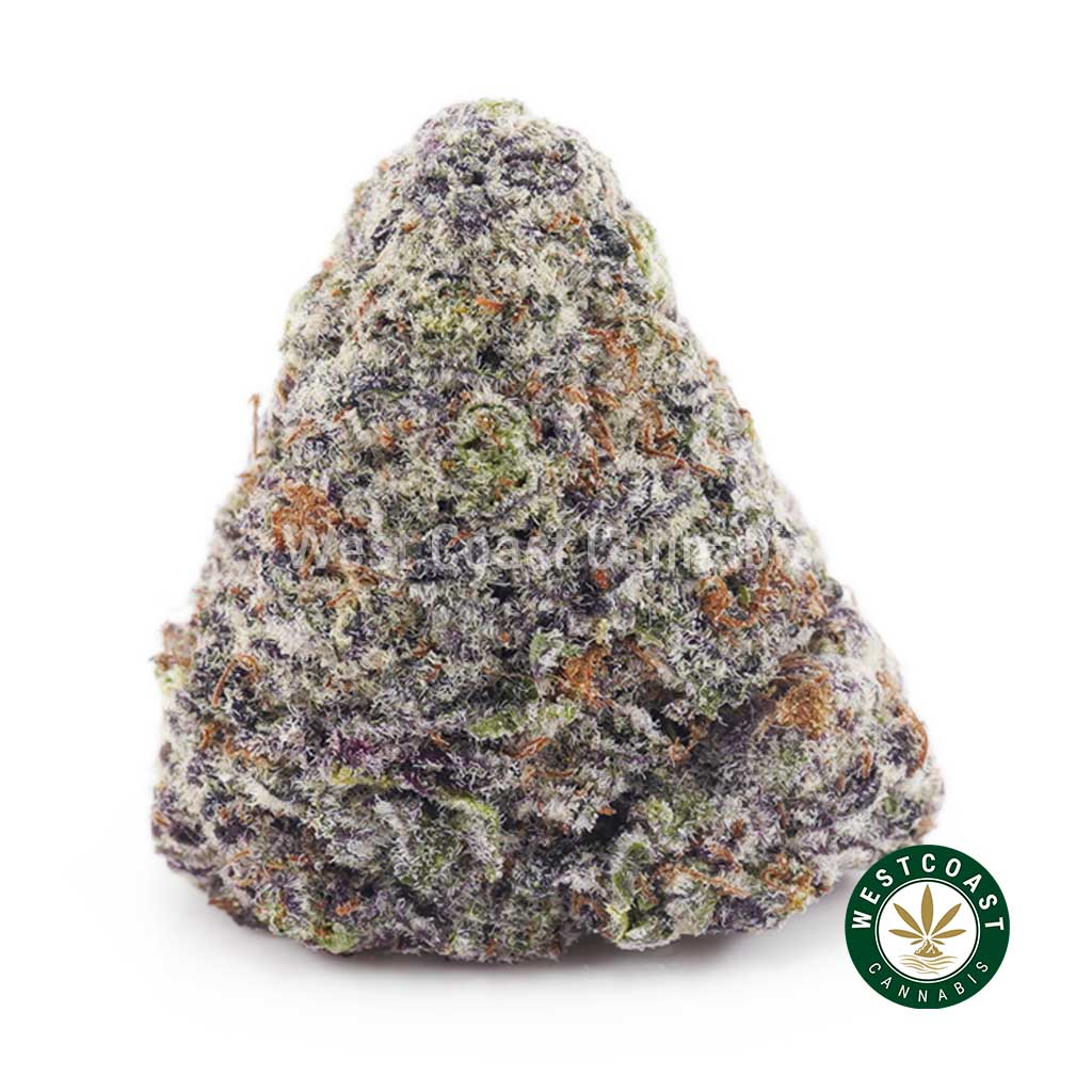 Buy Orange Freeze AAAA+ wc cannabis weed dispensary & online pot shop Buy Orange Freeze AAAA+ wc cannabis weed dispensary & online pot shop