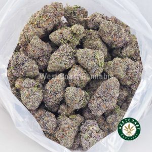 Buy Orange Freeze AAAA+ wc cannabis weed dispensary & online pot shop Buy Orange Freeze AAAA+ wc cannabis weed dispensary & online pot shop
