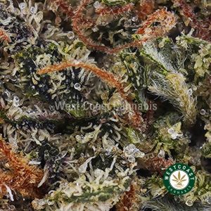 Buy Passionfruit Kush AAA wc cannabis weed dispensary & online pot shop