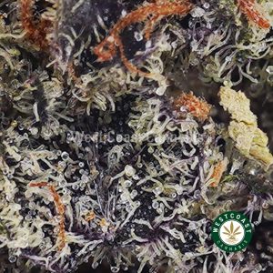 Buy Peanut Butter Jelly wc cannabis weed dispensary & online pot shop