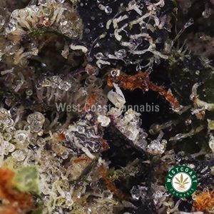 Buy Pink Rob Ford AAAA+ wc cannabis weed dispensary & online pot shop