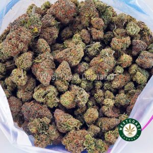Buy Pumpkin Spice AA wc cannabis weed dispensary & online pot shop