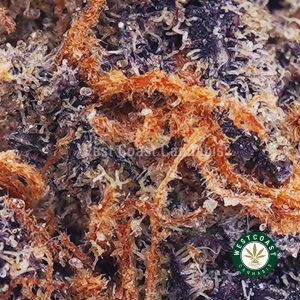 Buy Purple Godbud AAA wc cannabis weed dispensary & online pot shop