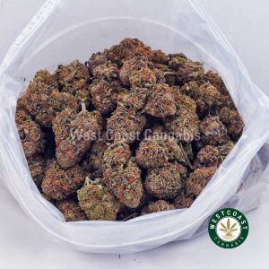 Buy Purple Haze AA wc cannabis weed dispensary & online pot shop Buy Purple Haze AA wc cannabis weed dispensary & online pot shop