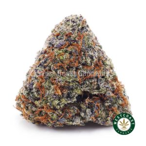 Buy Sensi Star AAA wc cannabis weed dispensary & online pot shop