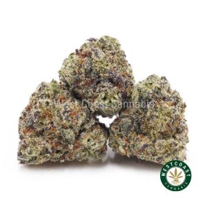 Buy Stargazer AAAA (Popcorn Nugs) wc cannabis weed dispensary & online pot shop
