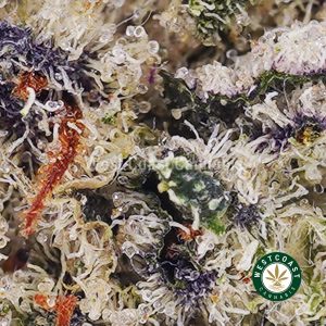 Buy Stargazer AAAA (Popcorn Nugs) wc cannabis weed dispensary & online pot shop