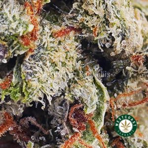 Buy Sunflower Sunshine wc cannabis weed dispensary & online pot shop