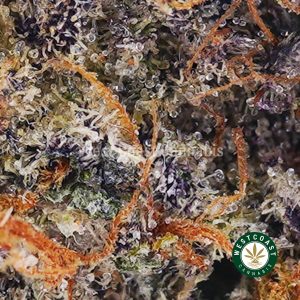 Buy Super Buff Cherry AAAA+ wc cannabis weed dispensary & online pot shop