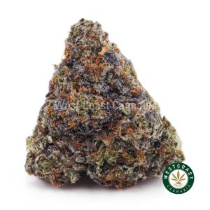 Buy Supreme Blueberry AAAA+ wc cannabis weed dispensary & online pot shop