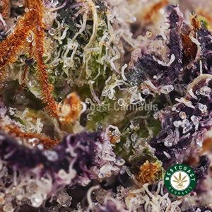 Buy Supreme Orange Juice AAAA+ wc cannabis weed dispensary & online pot shop