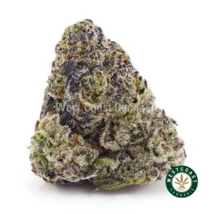 Buy Supreme Pineapple Cake AAAA+ wc cannabis weed dispensary & online pot shop