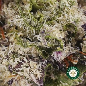 Buy Supreme Pineapple Cake AAAA+ wc cannabis weed dispensary & online pot shop