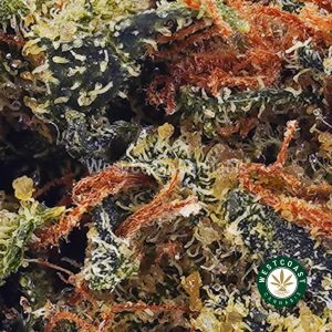 Buy Sweet Berry AAAA (Popcorn Nugs) wc cannabis weed dispensary & online pot shop