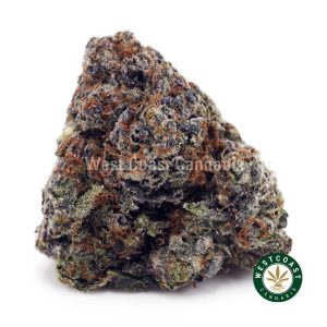 Buy Tom Ford Pink Kush AAAA+ wc cannabis weed dispensary & online pot shop
