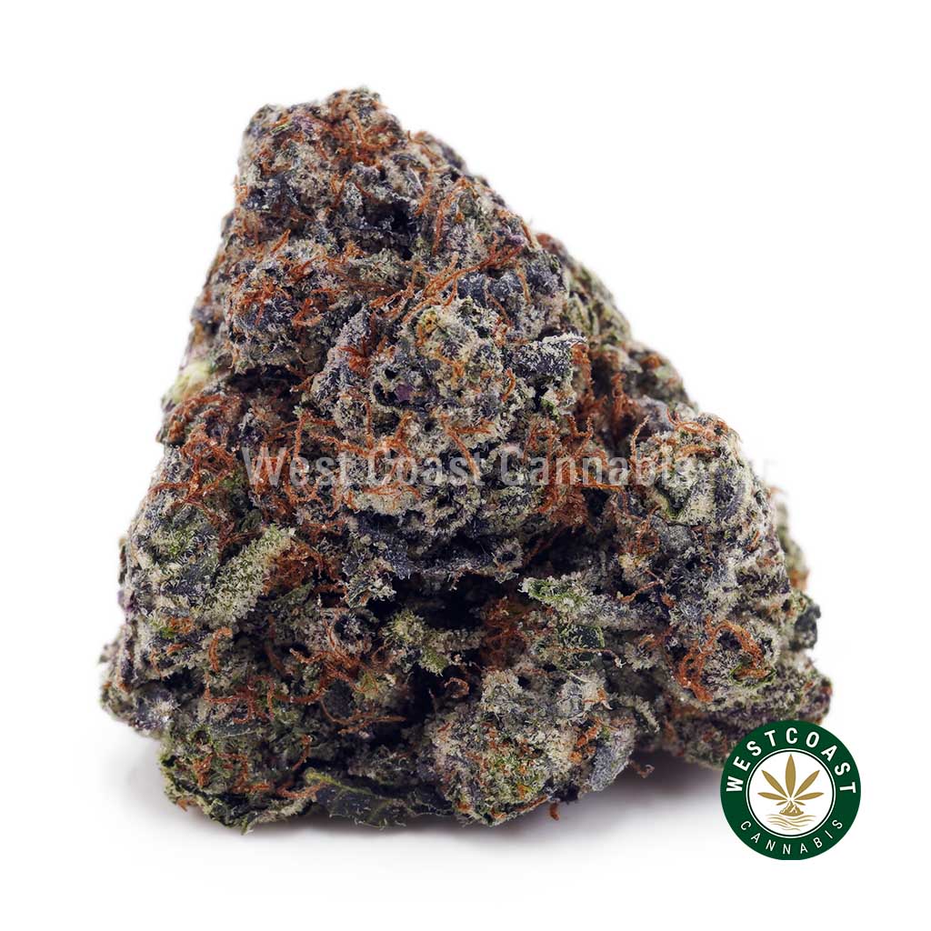 Buy Tom Ford Pink Kush AAAA+ wc cannabis weed dispensary & online pot shop Buy Tom Ford Pink Kush AAAA+ wc cannabis weed dispensary & online pot shop