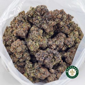 Buy Tom Ford Pink Kush AAAA+ wc cannabis weed dispensary & online pot shop Buy Tom Ford Pink Kush AAAA+ wc cannabis weed dispensary & online pot shop
