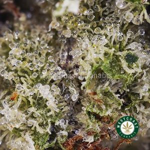 Buy OG Kush AAAA (Popcorn Nugs) wc cannabis weed dispensary & online pot shop