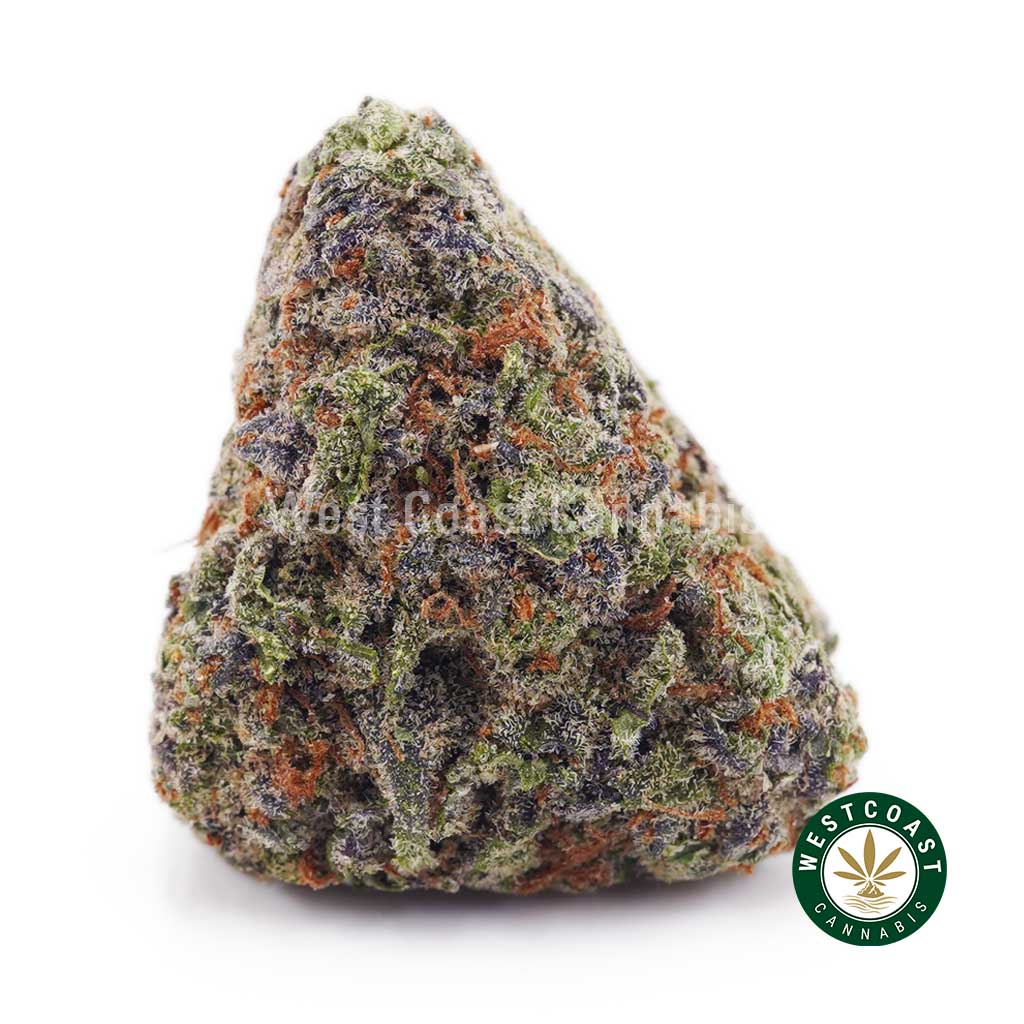 Buy UK Cheese AAA wc cannabis weed dispensary & online pot shop Buy UK Cheese AAA wc cannabis weed dispensary & online pot shop