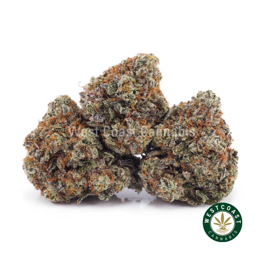 Buy Wedding Cake AAAA (Popcorn Nugs) wc cannabis weed dispensary & online pot shop Buy Wedding Cake AAAA (Popcorn Nugs) wc cannabis weed dispensary & online pot shop