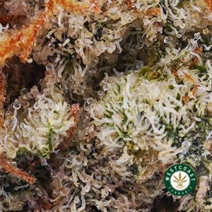 Buy Wedding Cake AAAA (Popcorn Nugs) wc cannabis weed dispensary & online pot shop