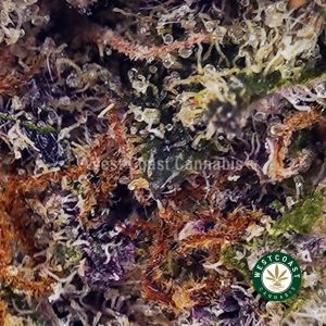 Buy White Truffle OG AAAA wc cannabis weed dispensary & online pot shop