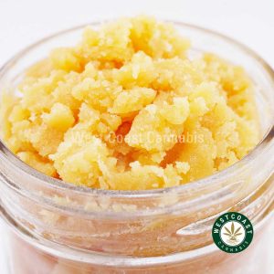 Y475A3 PLATINUMKUSH CAVIAR WCCANNABIS Buy Caviar - Platinum Kush (Indica) at Wccannabis Online Shop