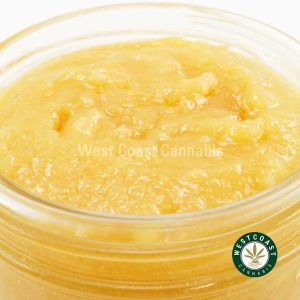 Buy Live/Resin - Blueberry Bomb (Indica) at Wccannabis Online Shop